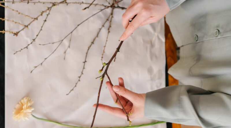hands holding a brand for flower arranging