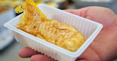 Taiyaki street food